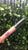 ROUND TUBE LIPGLOSS