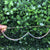RHIANNA GLASSES